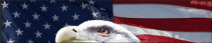 Eagle_Eye_001